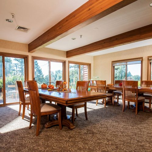 Sunlit activity room with wooden tables and chairs overlooking a peaceful garden setting.