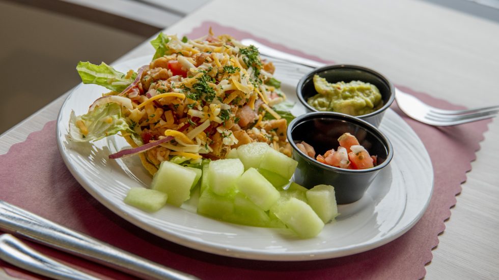 Fresh, colorful meal featuring a chicken salad, melon cubes, and side dips in a bright dining area.