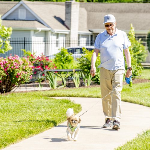 Senior man enjoying a sunny walk with his dog through a vibrant garden path at the community grounds.