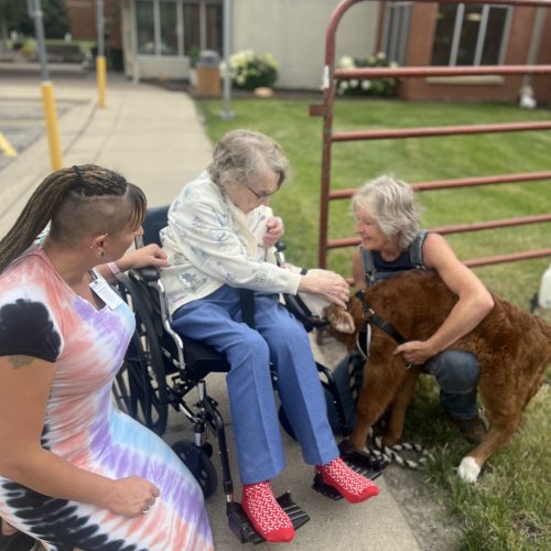 Senior woman in wheelchair feeding goat with staff beside her.
