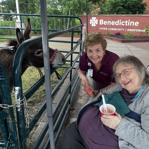 Senior female with associate smile near a donkey