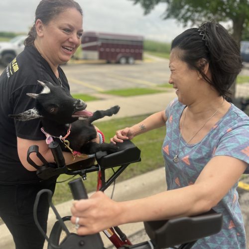 Staff holding goat up to resident who is smiling.
