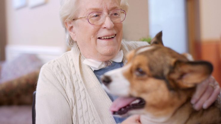 An elderly woman smiles warmly while gently holding a happy dog in a welcoming living space.
