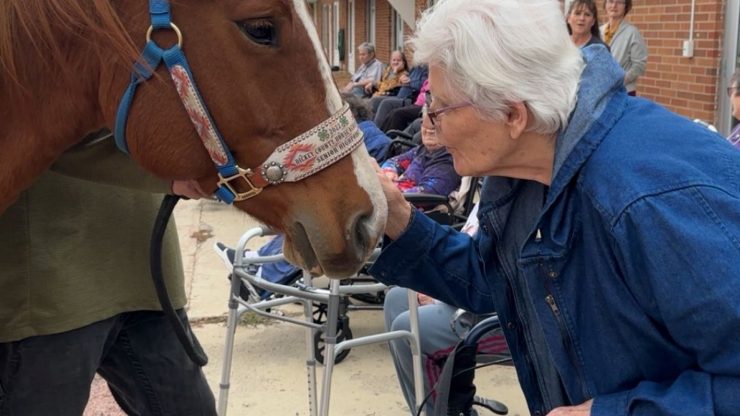 Senior woman leans forward to kiss the nose of a horse.